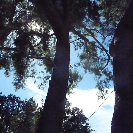 Woodland Hills Calabasas Guesthouses Los Angeles Exterior foto